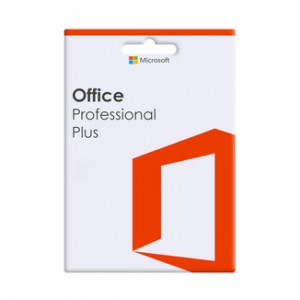 Microsoft Office Professional OLP NL Gov